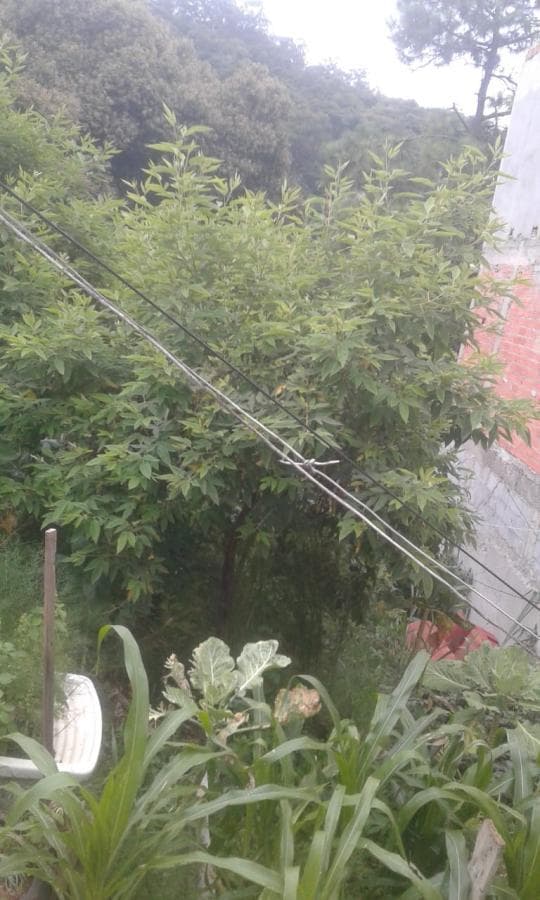 Terreno para Venda em São Paulo, Jardim Marilu