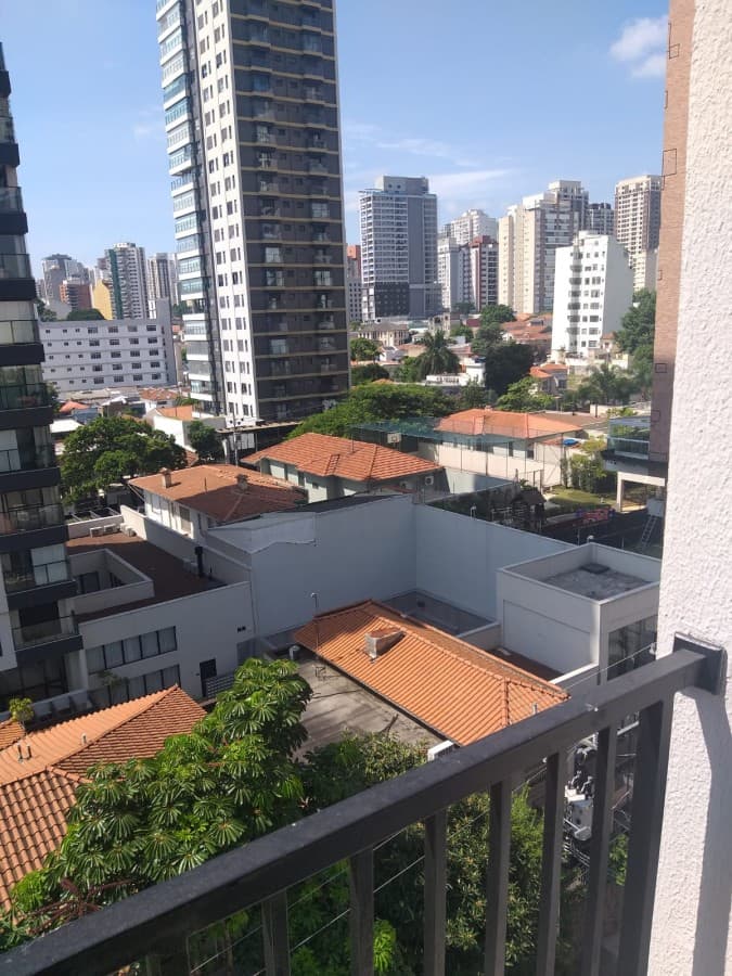 Miniatura 13